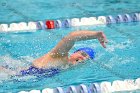 Swimming & Diving vs Babson  Swimming & Diving vs Babson College. - Photo by Keith Nordstrom : Wheaton, Swimming